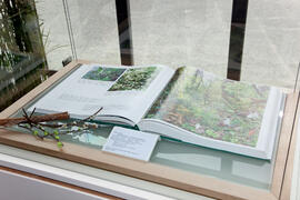 Inauguración de la exposición "El Bosque en Palabras". Biblioteca General. Mayo de 2011