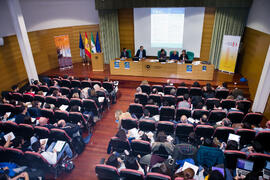 Mesa 3: "La perspectiva de las personas (físicas y jurídicas)". Jornada "Brexit y Gibraltar. Un reto con oportunidades conjuntas". Edificio del Rectorado. Febrero de 2017