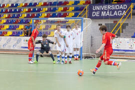 Partido Rusia contra República Checa. 14º Campeonato del Mundo Universitario de Fútbol Sala 2014 (FUTSAL). Antequera. Julio de 2014