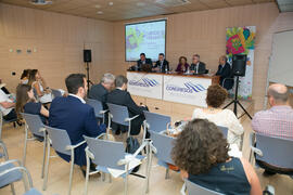 Mesa redonda: "Los proveedores de servicios: los hospitales". Curso "Turismo sanitario: asignatura pendiente". Cursos de Verano de la Universidad de Málaga. Marbella. Julio de 2018