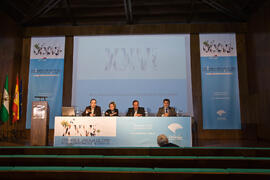 Inauguración del XXVI Certamen Bienal Internacional de Cine Científico de la Universidad de Málaga. Convento Santo Domingo, Ronda. Octubre de 2010