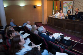 Mesa redonda: «Los límites de la transparencia». Curso "Protección de datos y transparencia: conflictos y equilibrio". Cursos de Verano de la Universidad de Málaga. Málaga. Julio de 2019