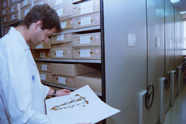 Instalaciones: Laboratorio. Mayo de 1995