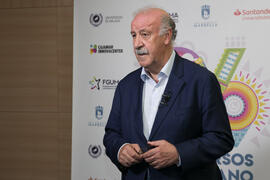 Vicente del Bosque. Curso "Infancia en riesgo: derechos y retos. A los 30 años de la Convención de los Derechos del Niño". Cursos de verano 2019 de la Universidad de Málaga. Marbella. Julio de 2019