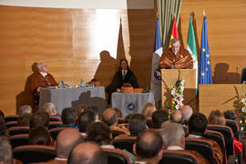 Investidura como Doctor "Honoris Causa" de D. Javier Aracil Santonja por la Escuela Técnica Superior de Ingeniería Industrial de la Universidad de Málaga. Rectorado. Diciembre de 2013