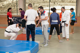 Taller de Judo Utilitario Adaptado. 7º Congreso Internacional de Actividad Física Deportiva para Mayores. Escuela Técnica Superior de Ingeniería de Telecomunicaciones y de Informática. Noviembre de 2017