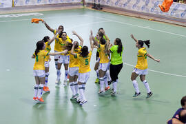 Partido Brasil contra España. 14º Campeonato del Mundo Universitario de Fútbol Sala 2014 (FUTSAL). Antequera. Julio de 2014