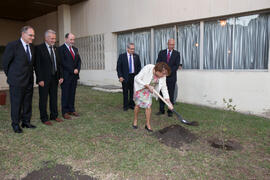 Aurora Valenzuela contribuye a plantar el árbol de Hipócrates donado por la isla de Kos. Facultad de Medicina. Octubre de 2017