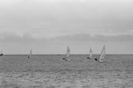 Regata de balandros. Puerto de Málaga. Enero de 1963