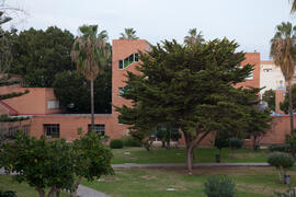 Facultad de Ciencias Económicas y Empresariales. Campus de El Ejido. Enero de 2015