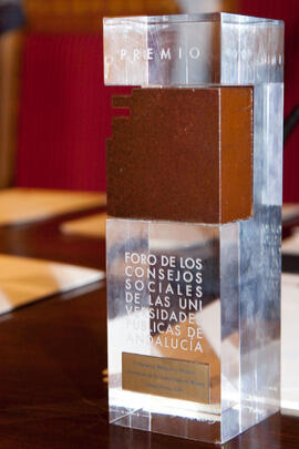 III Edición de los premios Implicación Social en las Universidades Públicas de Andalucía. Edificio del Hospital Real de Granada. Marzo de 2011