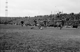 Málaga. Partido de fútbol Málaga-Barcelona. Estadio de la Rosaleda. Febrero de 1963