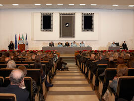Investidura como Doctora "Honoris Causa" de D.ª Victoria Atencia García. Paraninfo. Diciembre de 2011