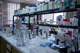 Laboratorio de Ciencias. Mayo de 2013