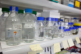 Laboratorio de Bioquímica. Octubre de 2012