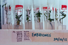 Laboratorio. Mayo de 2013