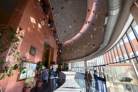 Biblioteca General con la instalación "Biblioteca de Babel XIII", de José Ignacio Díaz de Rábago. Campus de Teatinos. Enero de 2018