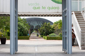 Jardín Botánico de la Universidad de Málaga. Campus de Teatinos. Mayo de 2013