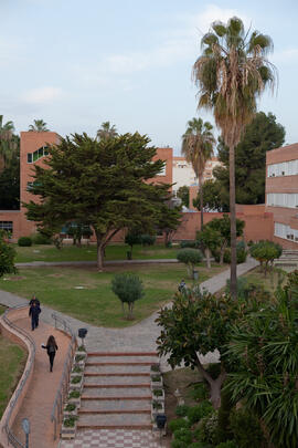 Facultad de Ciencias Económicas y Empresariales. Campus de El Ejido. Enero de 2015