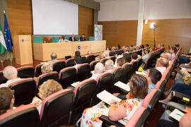 Taller «España en el mundo hoy: visión de futuro». Curso "Geopolítica y leyenda negra". Cursos de Verano de la Universidad de Málaga. Málaga. Julio de 2019