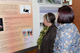 Presentación de pósters. 4º Congreso Internacional de Actividad Físico-Deportiva para Mayores. Complejo Polideportivo Universitario. Marzo de 2011