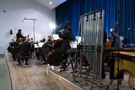 Concierto de Bandas Sonoras de la 30 edición de Fancine de la Universidad de Málaga. Auditorio de la Escuela Técnica de Ingeniería de Telecomunicaciones e Informática. Noviembre de 2020