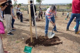 Incorporación de nuevos árboles al Bosque del Conocimiento. Campus de Teatinos. Mayo 2015
