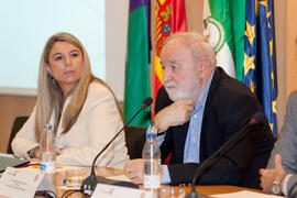 Diego Carcedo impartiendo la conferencia ‘Porfirio Smerdou, un héroe casi anónimo’. Foro Alumni-UMA. Colegio de Abogados de Málaga. Junio 2014