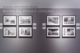 Exposición "Fotografías de Málaga. Estudio Bienvenido-Arenas. Una mirada hacia los inicios del siglo XX". Sala de exposiciones del Edificio del Rectorado. Julio de 2011