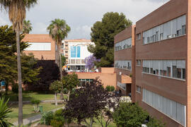 Facultad de Ciencias Económicas y Empresariales. Campus de El Ejido. Mayo de 2015