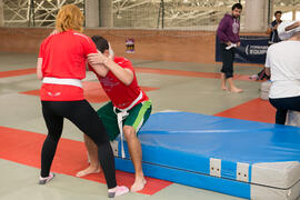 Taller de Judo Utilitario Adaptado. 7º Congreso Internacional de Actividad Física Deportiva para Mayores. Escuela Técnica Superior de Ingeniería de Telecomunicaciones y de Informática. Noviembre de 2017