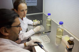 Laboratorio de Bioquímica. Octubre de 2012