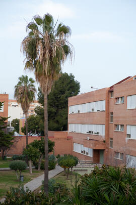 Facultad de Ciencias Económicas y Empresariales. Campus de El Ejido. Enero de 2015