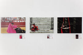 Exposición "Málaga 2013: Un año de fotoperiodismo" en La Térmica. Mayo de 2014