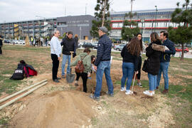 "Primera arbolada" en la Universidad de Málaga. Escuela Técnica Superior de Ingeniería Industrial. Enero de 2020