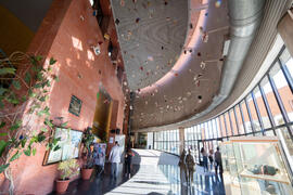 Biblioteca General con la instalación "Biblioteca de Babel XIII", de José Ignacio Díaz de Rábago. Campus de Teatinos. Enero de 2018
