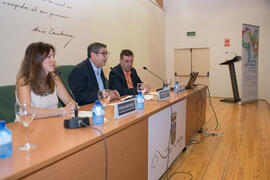 Presentación del curso. Curso "Los servicios sociales como cuarto pilar del bienestar social". Cursos de Verano de la Universidad de Málaga. Vélez-Málaga. Julio de 2019