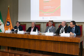 XIII Jornadas Andaluzas de Enseñanza de Economía. Facultad de Ciencias Económicas y Empresariales. Febrero de 2020