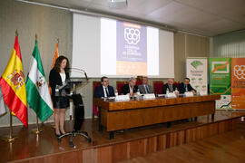 XIII Jornadas Andaluzas de Enseñanza de Economía. Facultad de Ciencias Económicas y Empresariales. Febrero de 2020