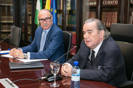 Reunión para la Declaración de Granada. Facultad de Derecho de la Universidad de Granada. Mayo de 2018