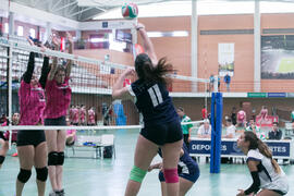 Partido femenino Universidad de Málaga - Universidad de A Coruña. Campeonato de España Universitario de Voleibol. Complejo Polideportivo Universitario. Abril de 2018