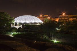 Jardín Botánico de la Universidad de Málaga. Campus de Teatinos. Junio de 2009