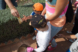 Excursión de la Escuela Infantil Francisca Luque al Jardín Botánico. Campus de Teatinos. Mayo de 2014