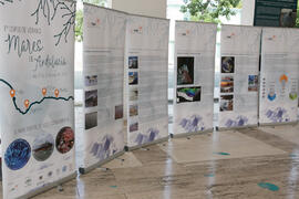 Exposición "El mar, fuente de vida y conocimiento". Presentación institucional del I curso de verano "Mares de Andalucía". Puerto de Málaga. Julio de 2018