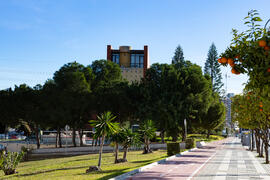 Biblioteca General. Campus de Teatinos. Febrero de 2021