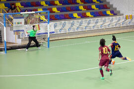 Partido España contra Portugal. 14º Campeonato del Mundo Universitario de Fútbol Sala 2014 (FUTSAL). Antequera. Julio de 2014