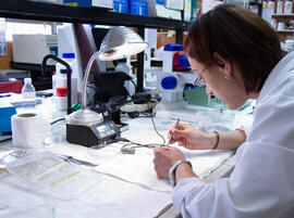 Laboratorio de Ciencias. Mayo de 2013