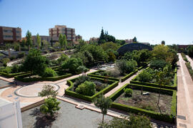 Jardín Botánico de la Universidad de Málaga. Campus de Teatinos. Octubre de 2012