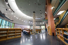 Biblioteca General con la instalación "Biblioteca de Babel XIII", de José Ignacio Díaz de Rábago. Campus de Teatinos. Enero de 2018