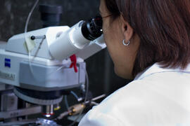 Laboratorio de Ciencias. Mayo de 2013